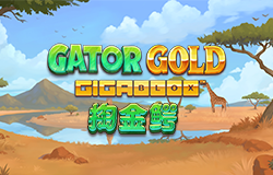 GATOR GOLD